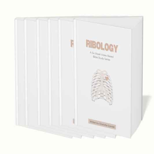 Ribology Bundle | Bible Study Workbook & Video Access