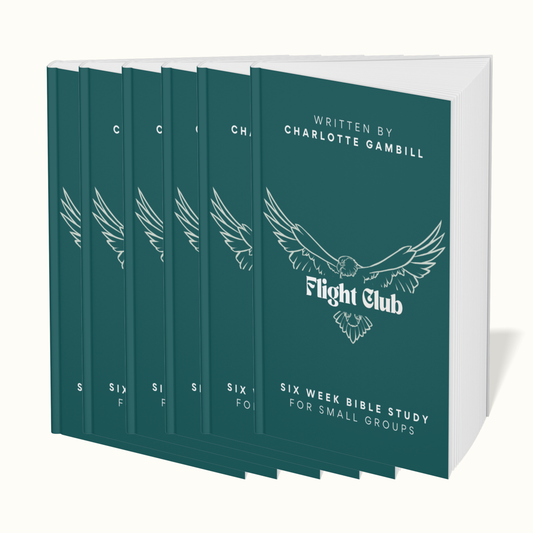 Flight Club Bundle | Bible Study Workbook & Video Access