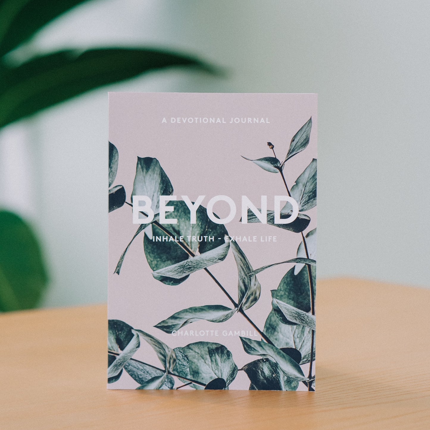 Beyond - Daily Devotional